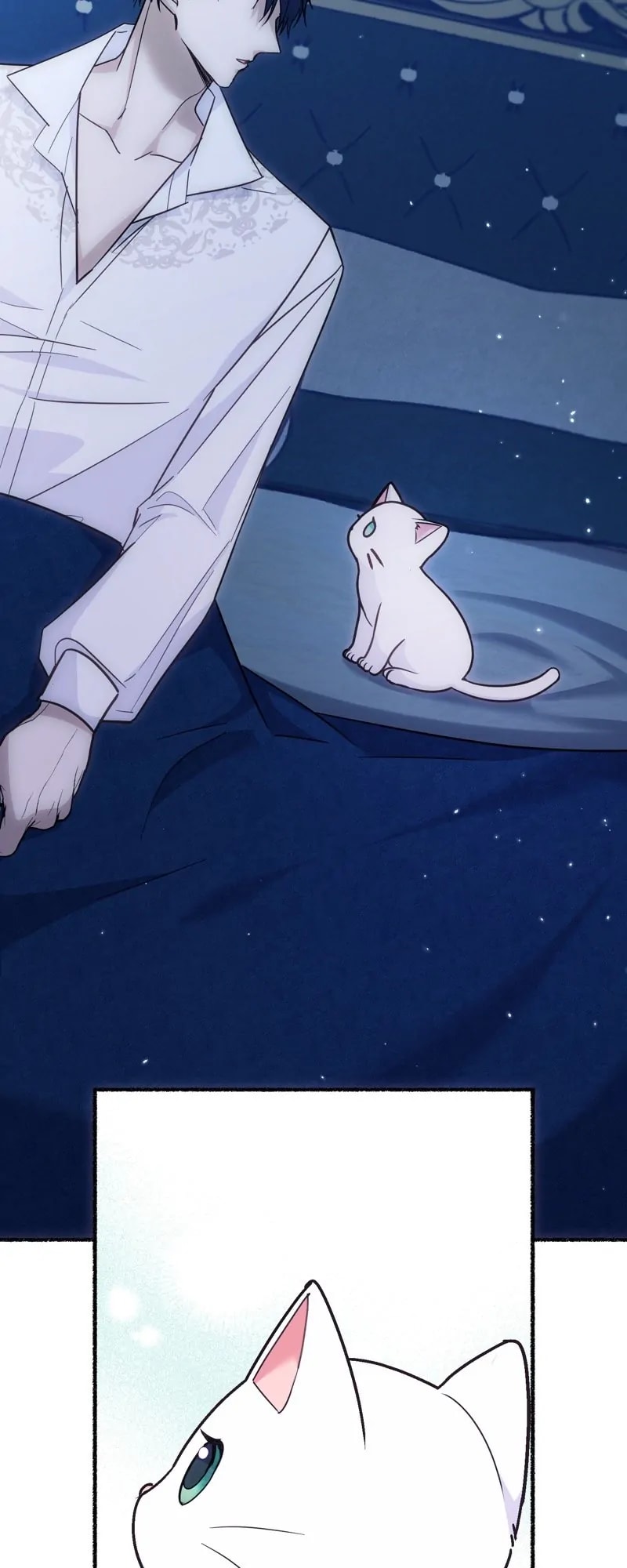 The Possesive Tyrant And His Sleepy Cat chapter 4 page 43