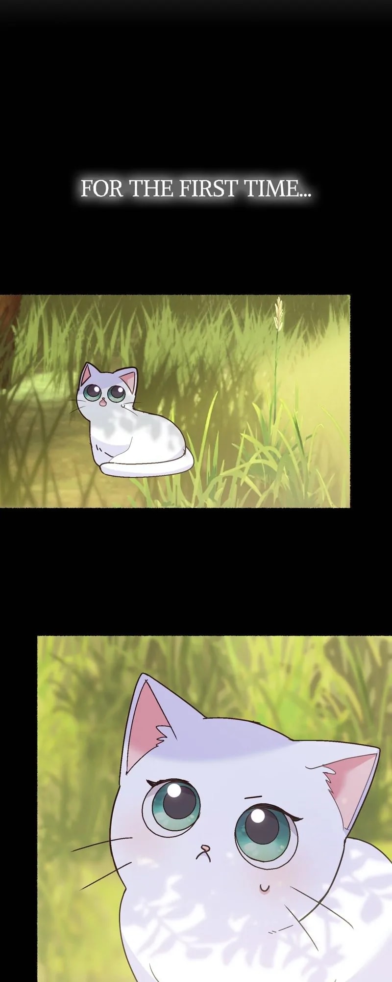 The Possesive Tyrant And His Sleepy Cat chapter 4 page 9