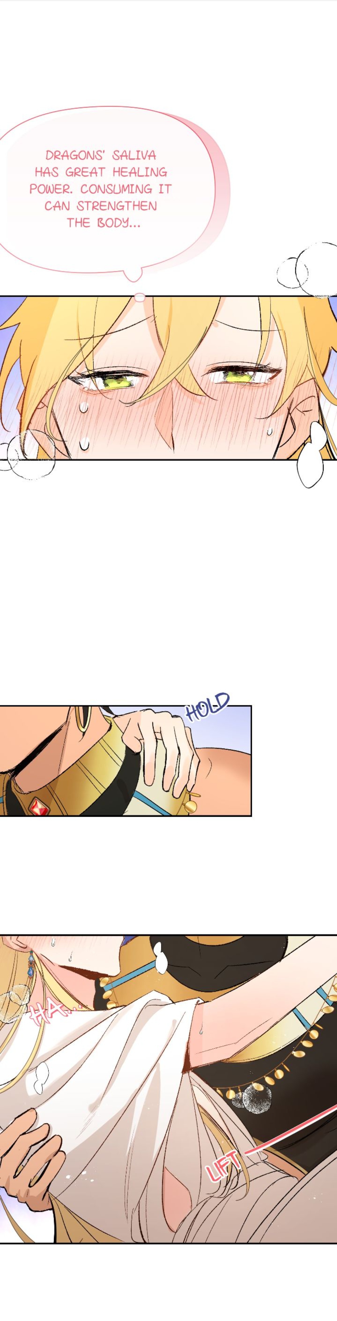 The Priest Dreaming Of A Dragon chapter 10 page 10