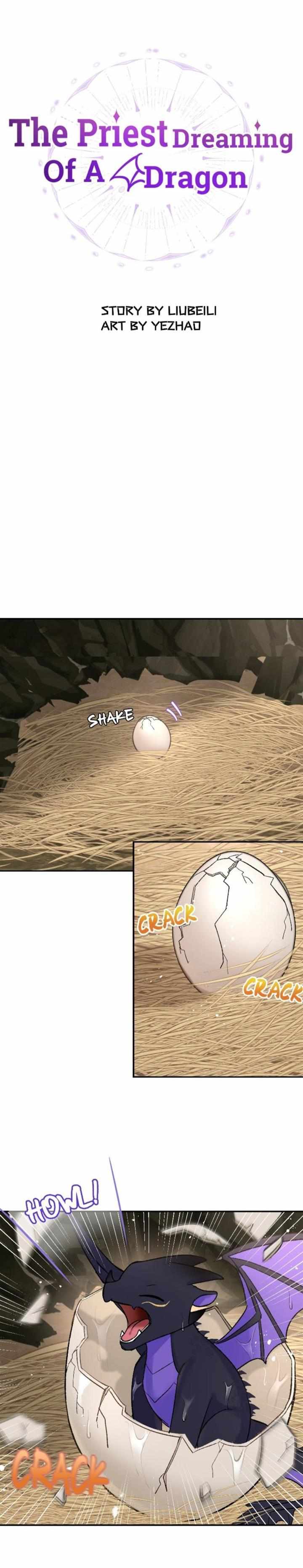 The Priest Dreaming Of A Dragon chapter 12 page 2