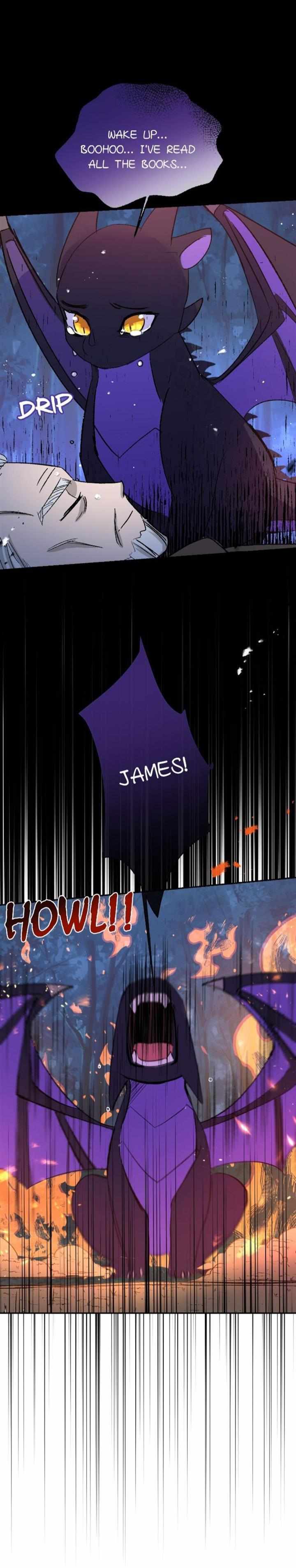 The Priest Dreaming Of A Dragon chapter 12 page 9