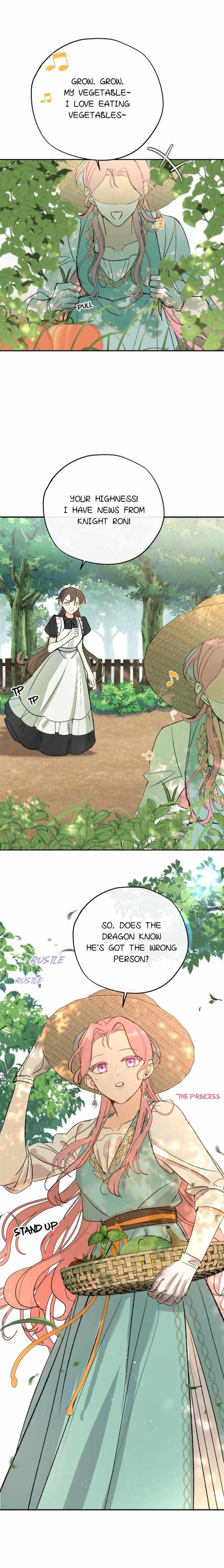 The Priest Dreaming Of A Dragon chapter 13 page 1