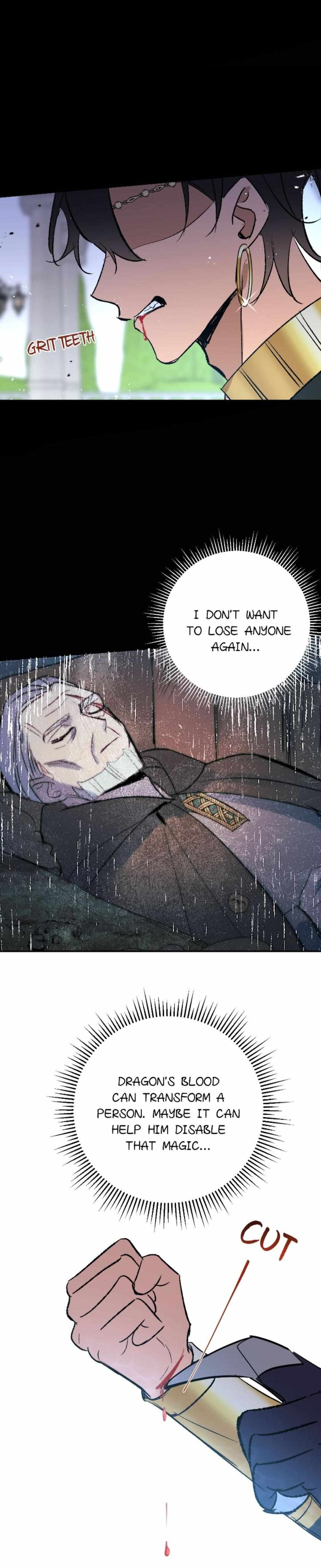 The Priest Dreaming Of A Dragon chapter 15 page 12