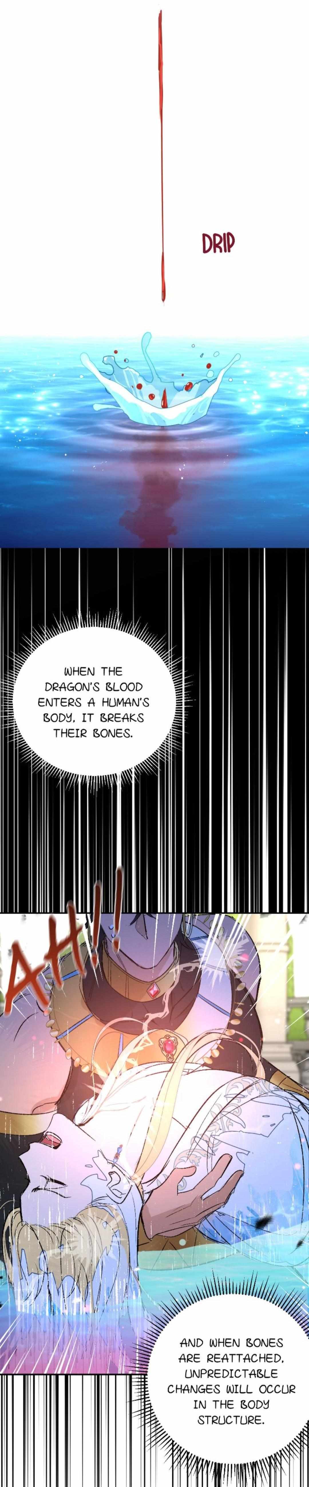 The Priest Dreaming Of A Dragon chapter 15 page 13