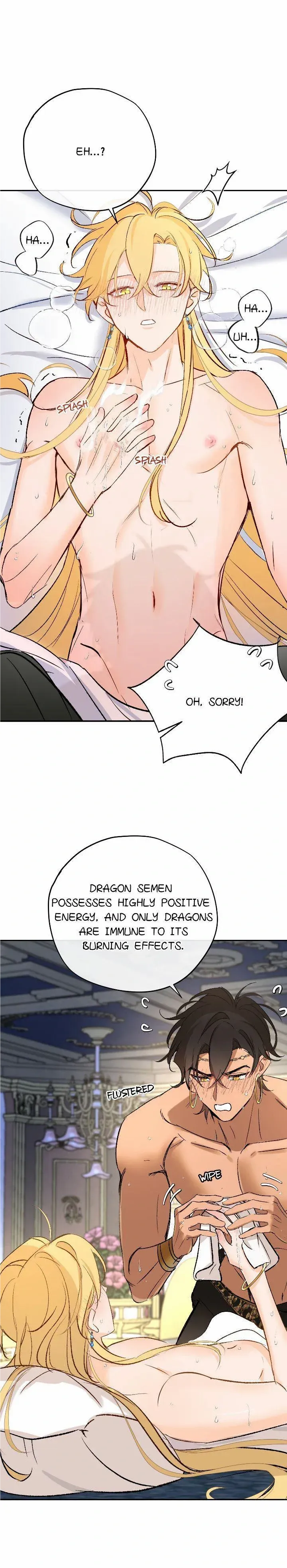 The Priest Dreaming Of A Dragon chapter 17 page 14