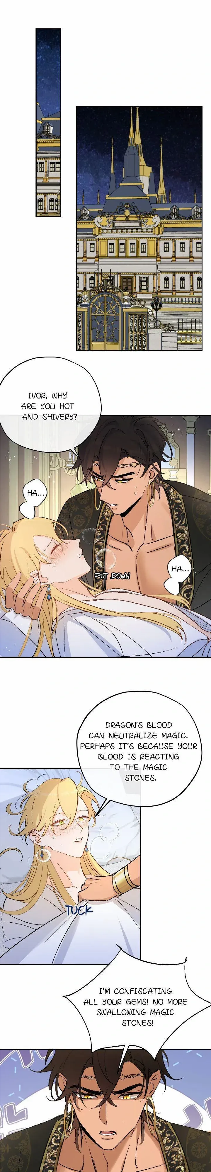 The Priest Dreaming Of A Dragon chapter 17 page 6