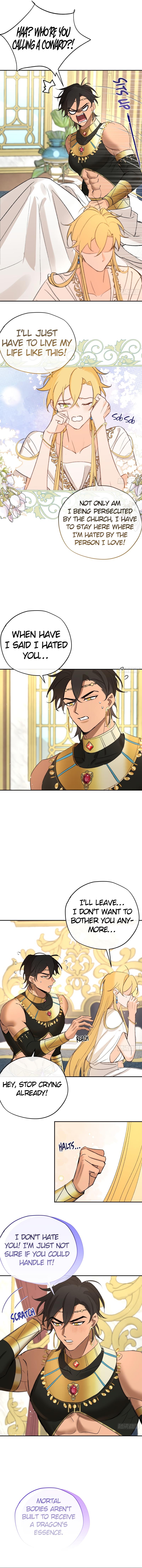 The Priest Dreaming Of A Dragon chapter 8 page 8