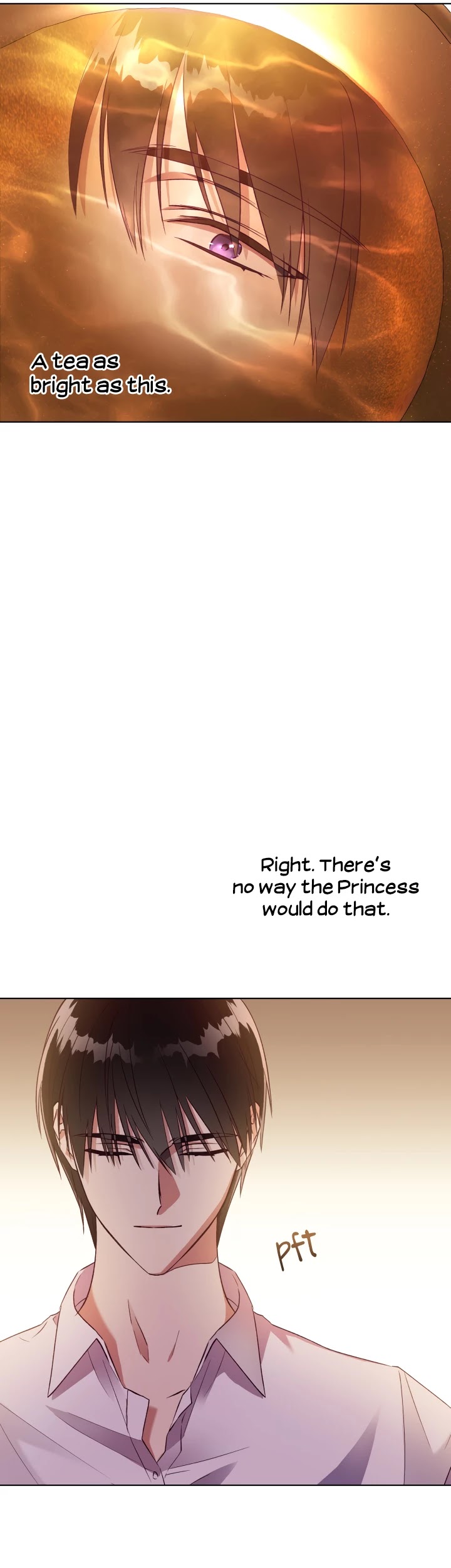 The Princess Imprints the Traitor chapter 38 page 37