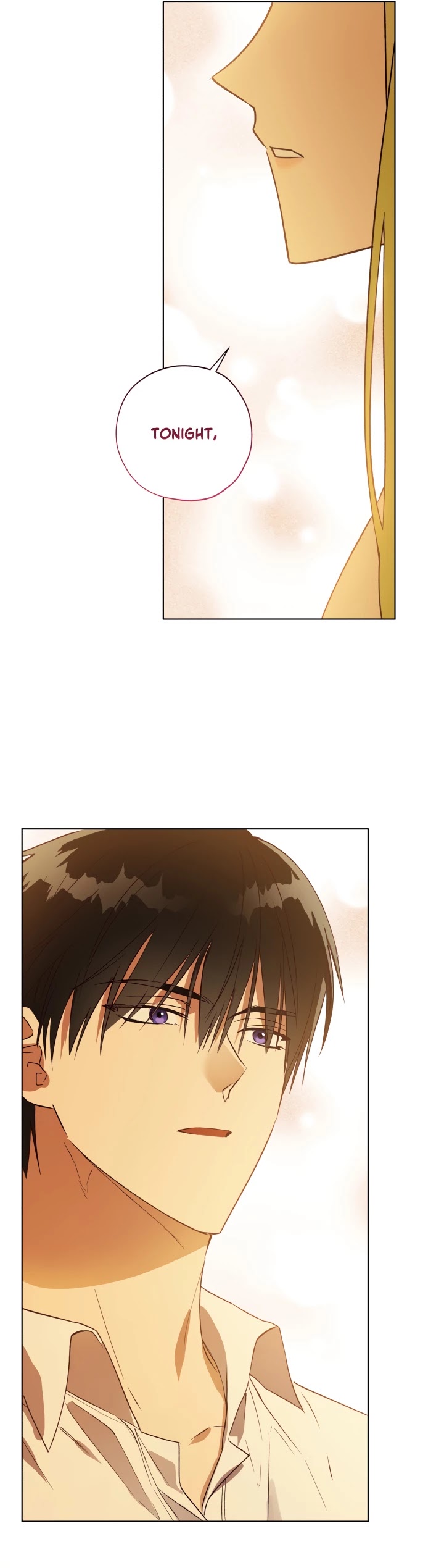 The Princess Imprints the Traitor chapter 38 page 40