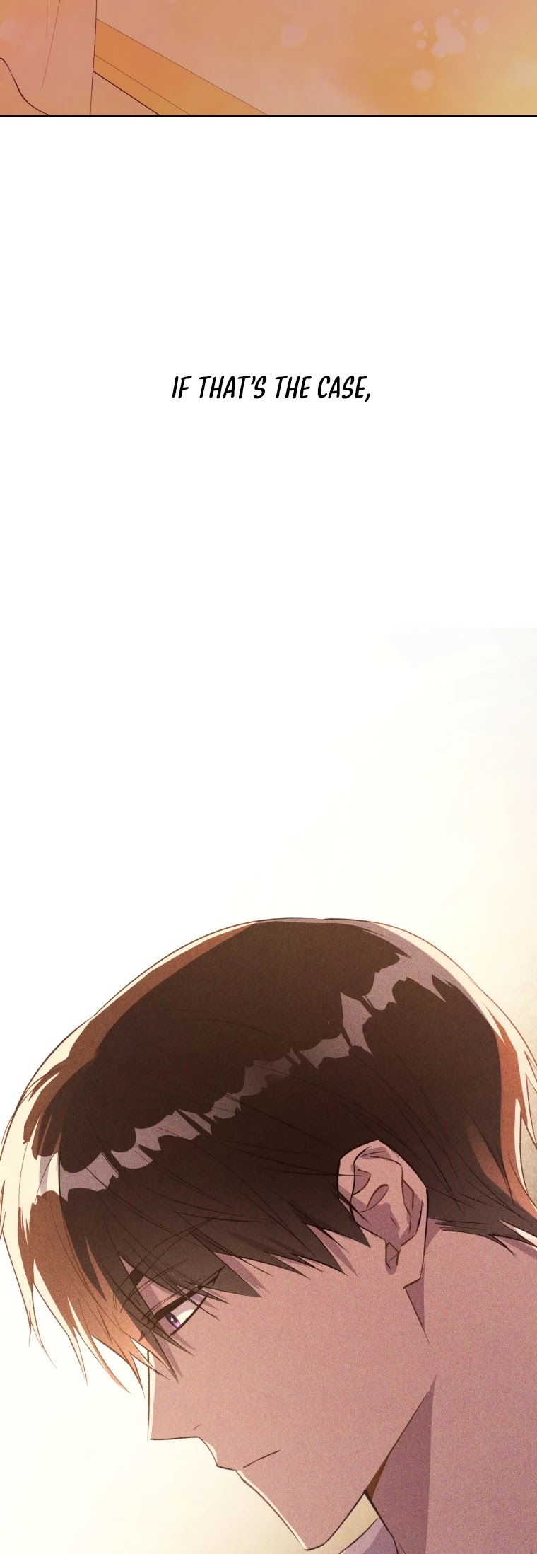 The Princess Imprints the Traitor chapter 48 page 47