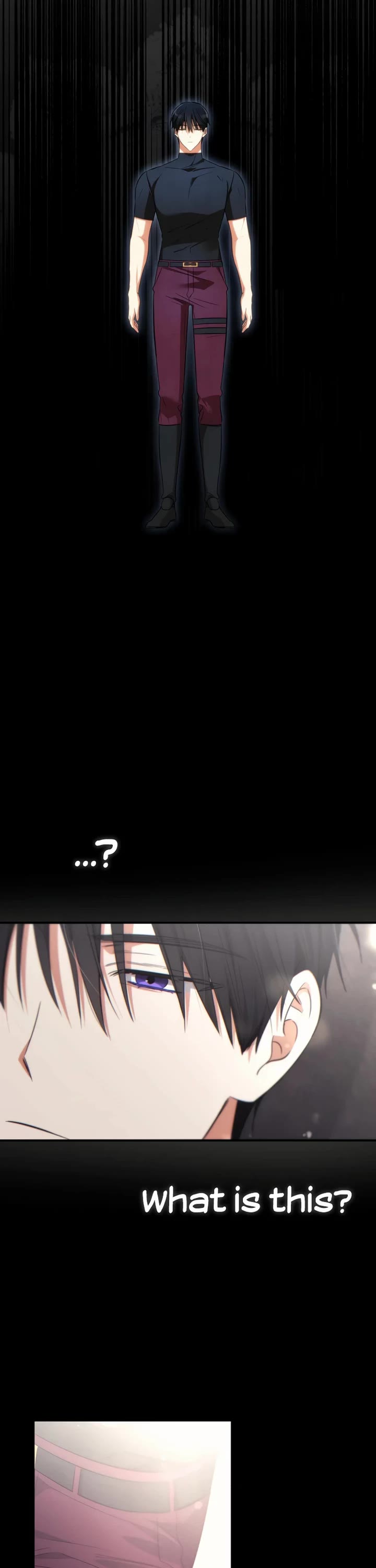 The Princess Imprints the Traitor chapter 66 page 3