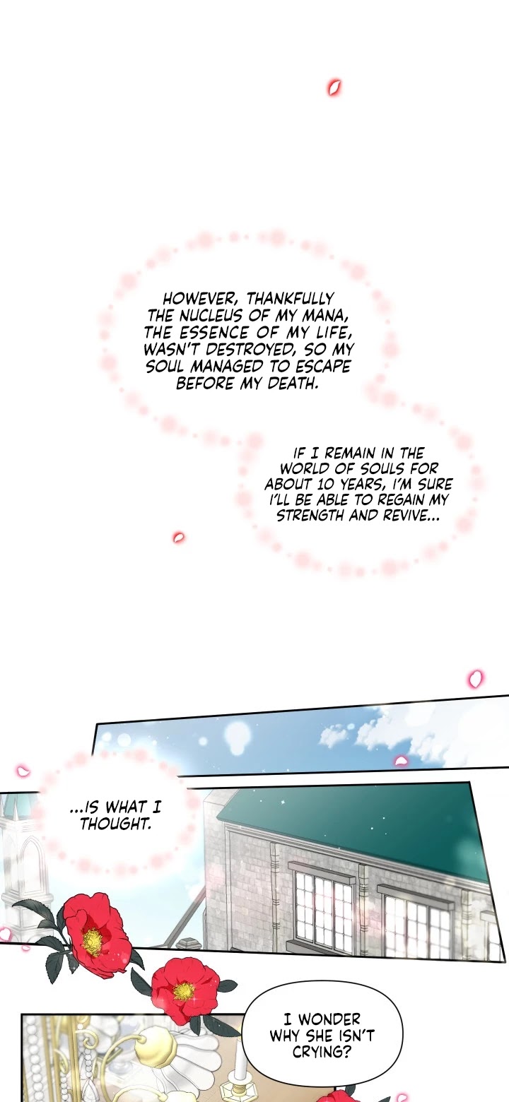 The Princess Is Evil chapter 1 page 8