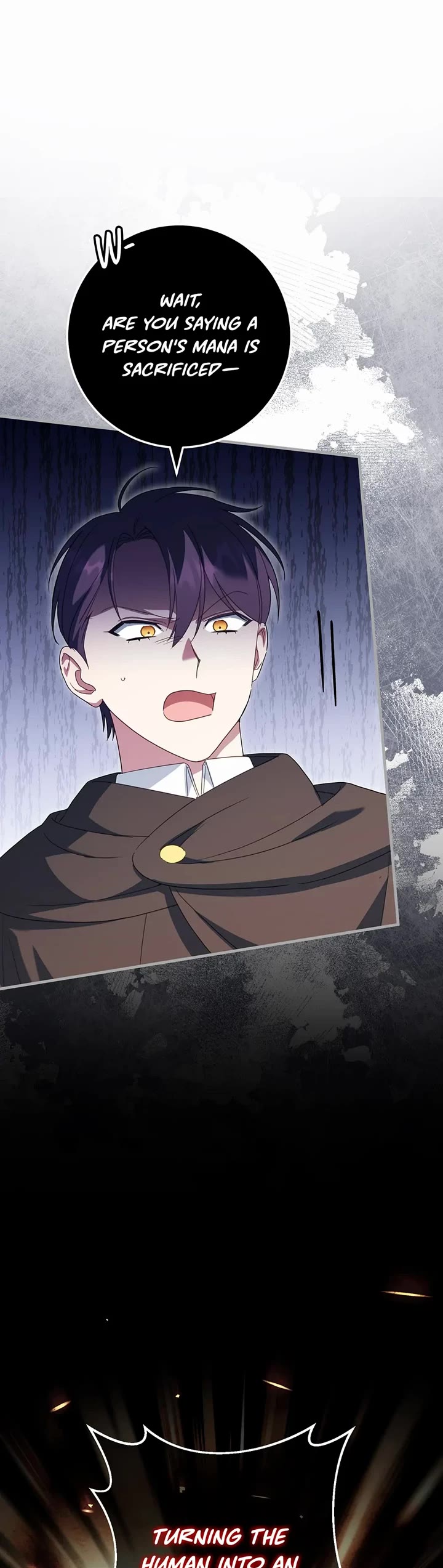 The Princess Is Evil chapter 110 page 24