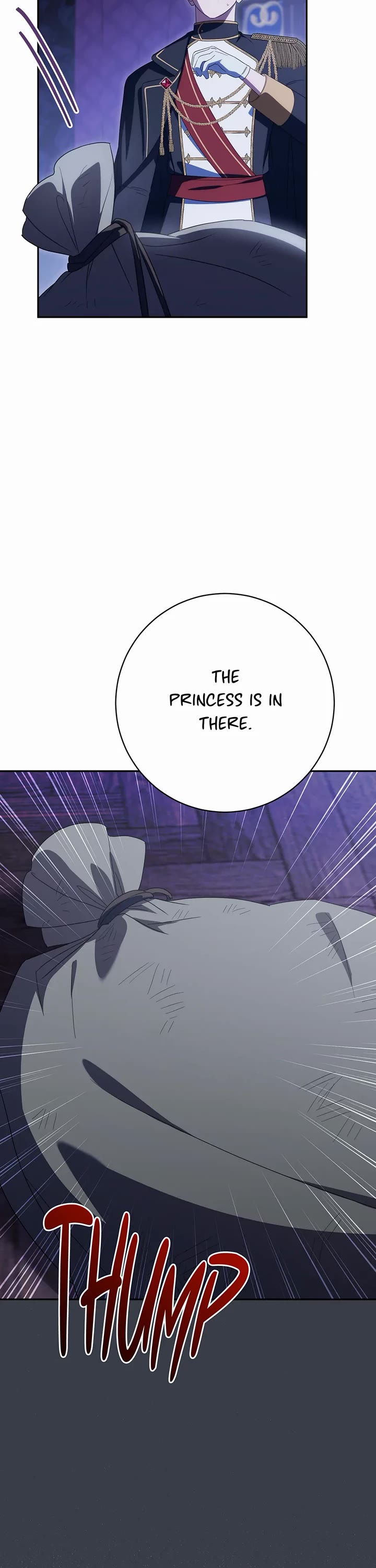 The Princess Is Evil chapter 166 page 33