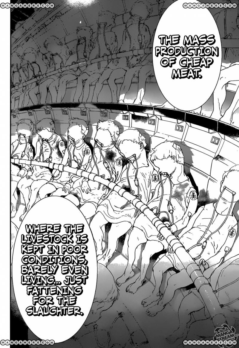 The Promised Neverland chapter 50 page 8
