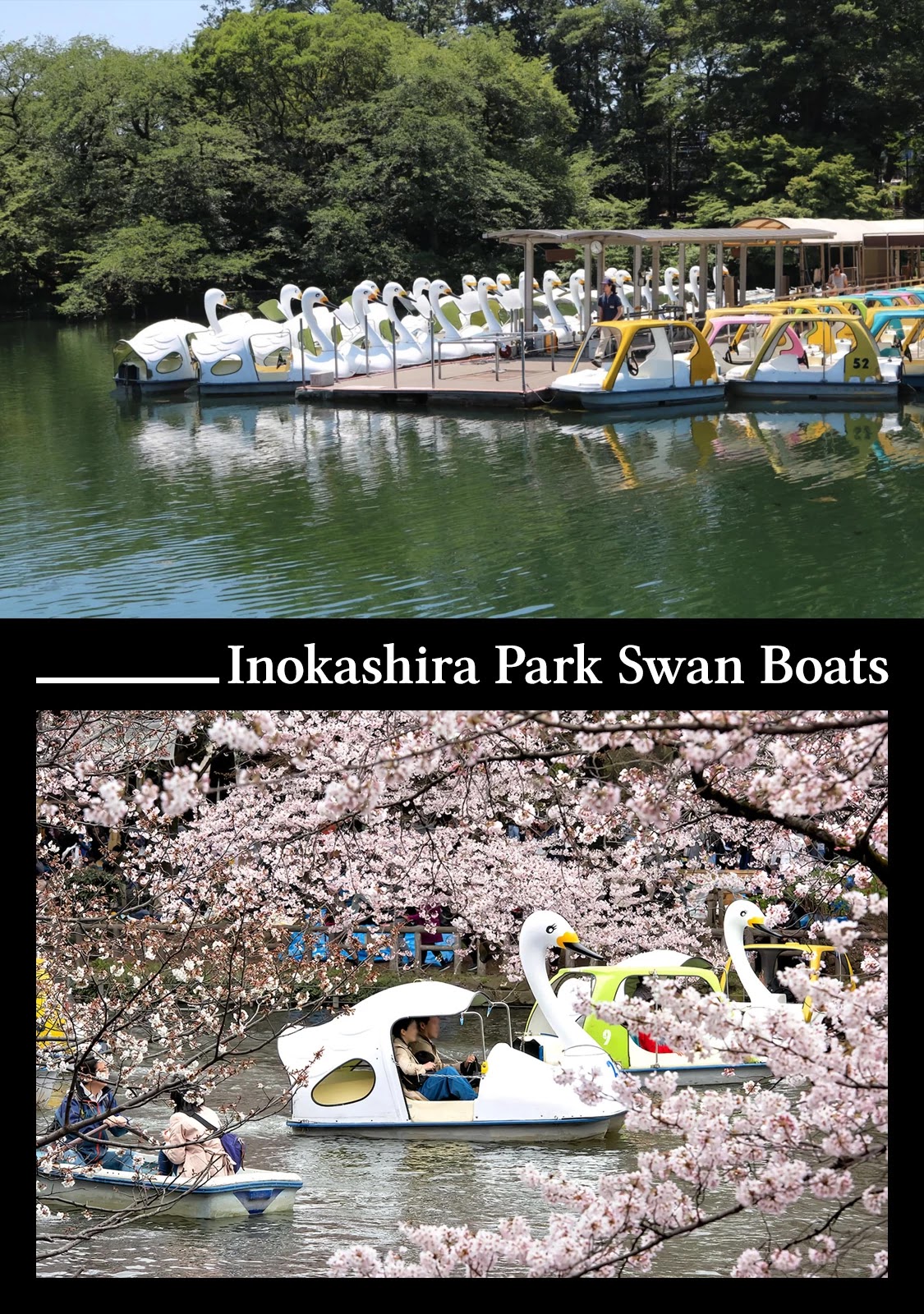 The Rain of Teardrops and Serenade chapter 19 page 39