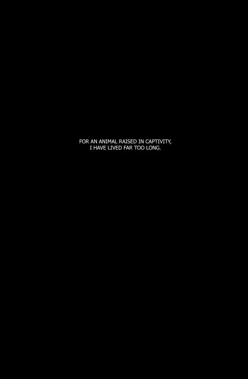 The Ravages of Time chapter 256 page 21