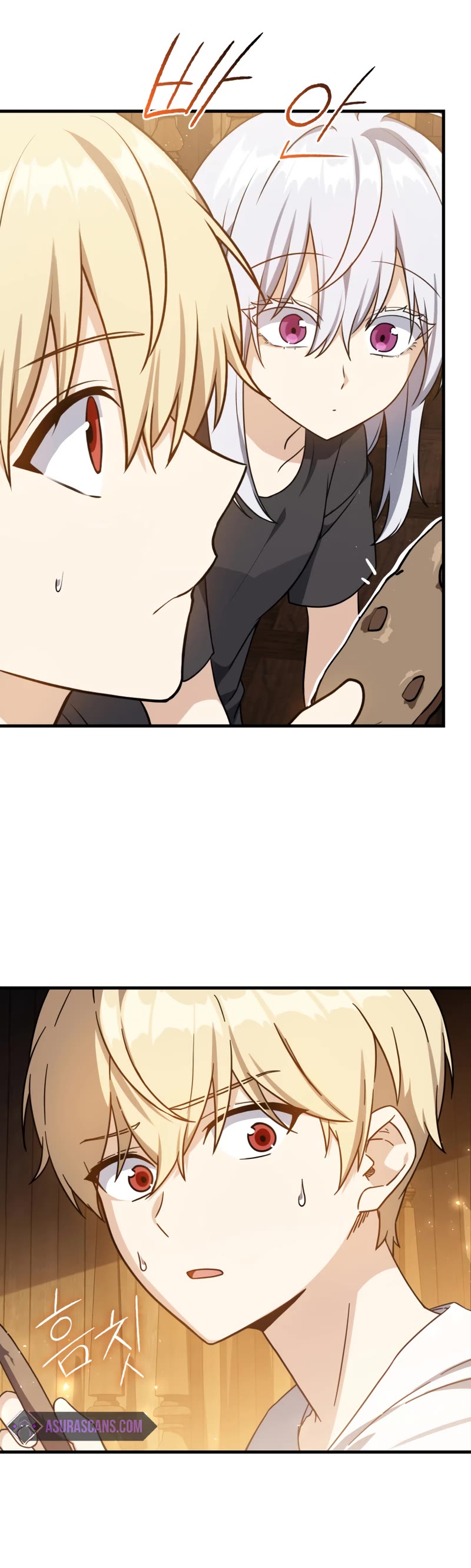 The Reincarnated Assassin is a Genius Swordsman chapter 11 page 25