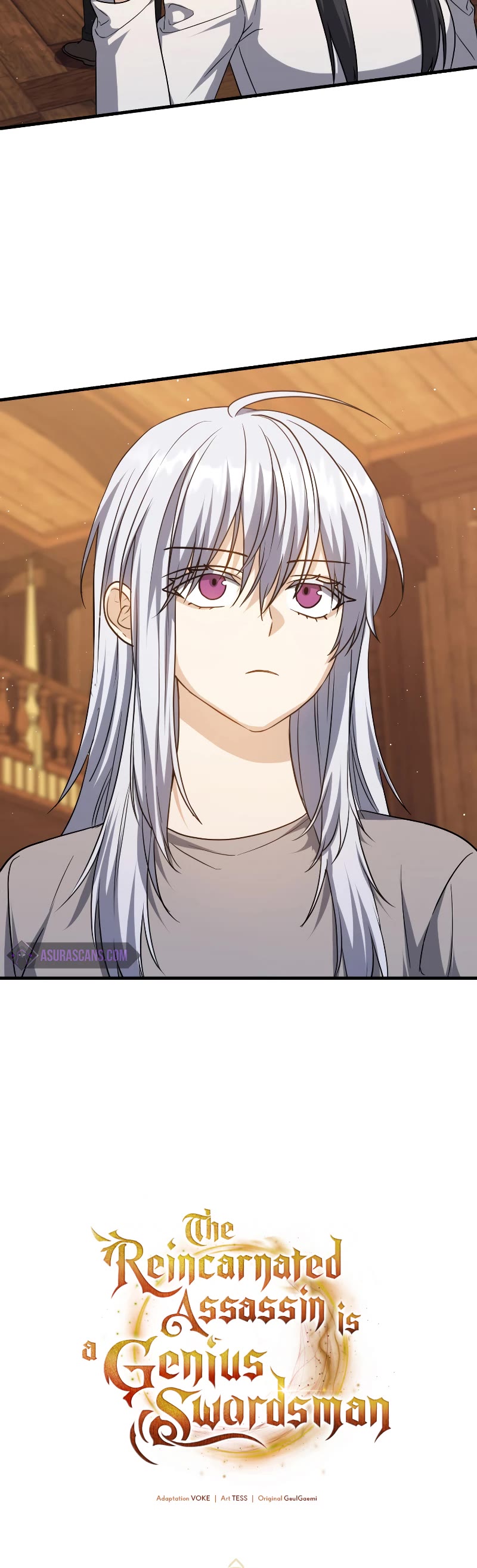 The Reincarnated Assassin is a Genius Swordsman chapter 19 page 20