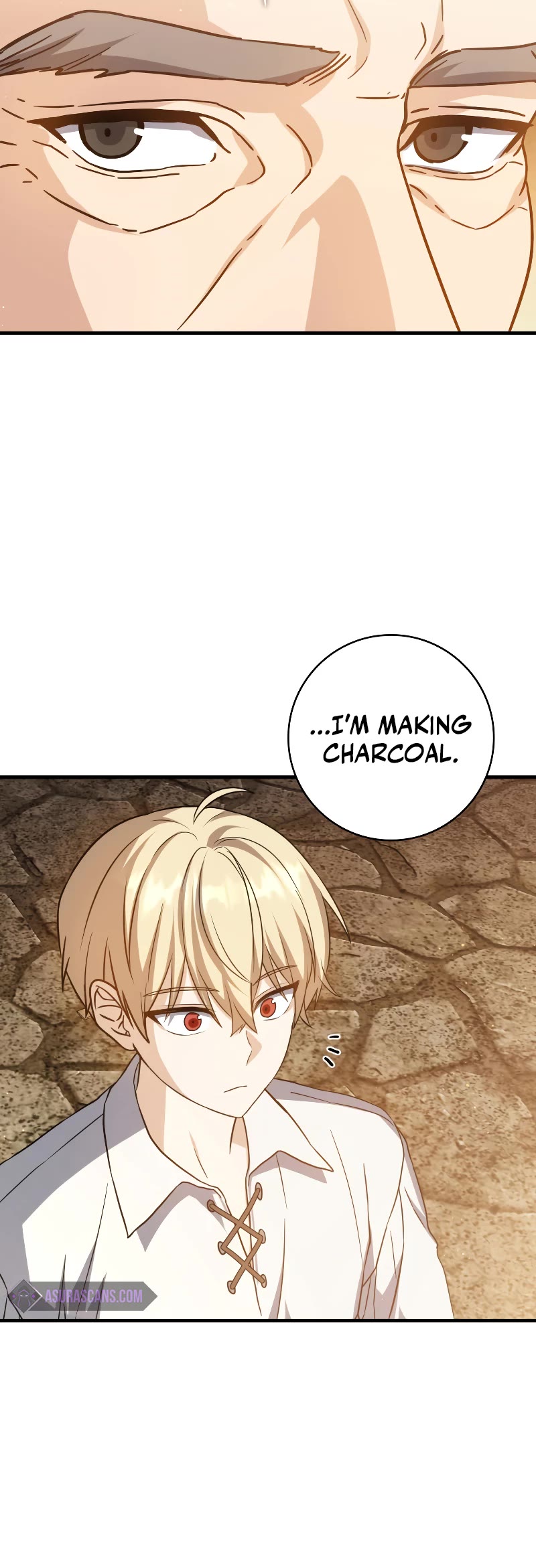 The Reincarnated Assassin is a Genius Swordsman chapter 20 page 45