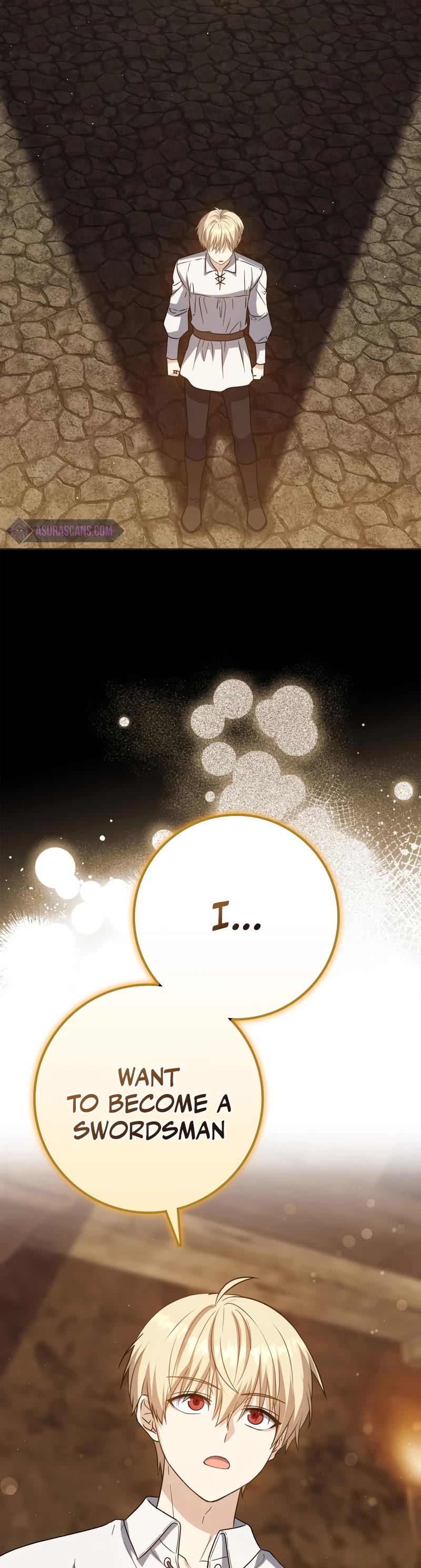 The Reincarnated Assassin is a Genius Swordsman chapter 22 page 25