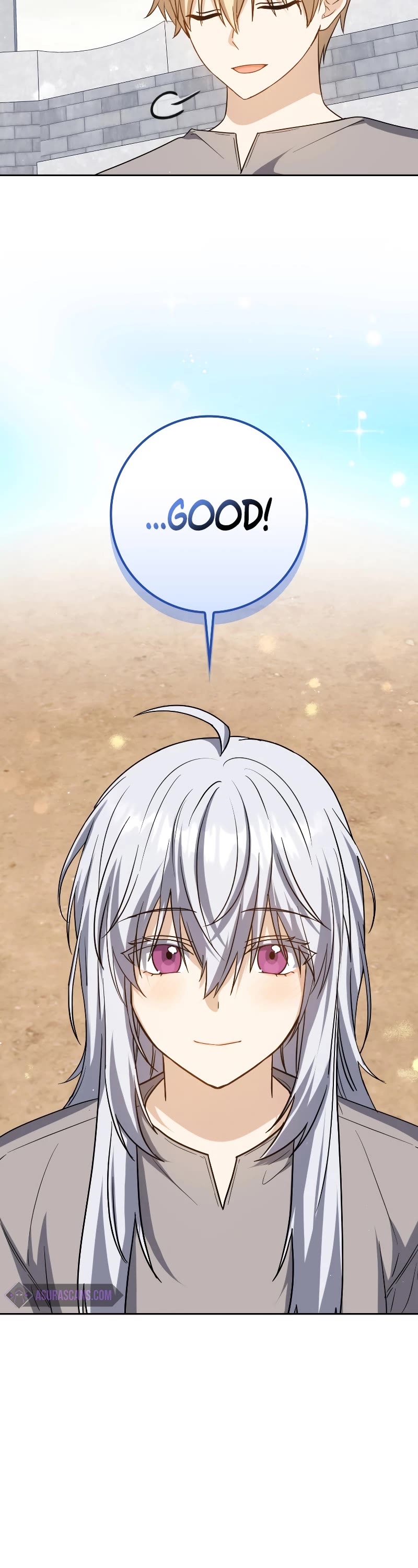 The Reincarnated Assassin is a Genius Swordsman chapter 23 page 8