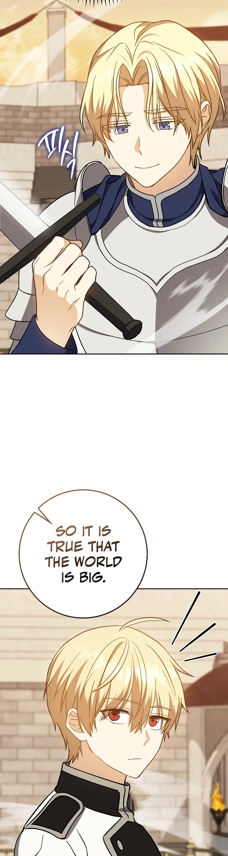 The Reincarnated Assassin is a Genius Swordsman chapter 29 page 26