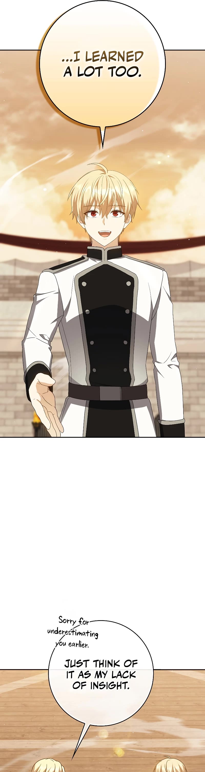 The Reincarnated Assassin is a Genius Swordsman chapter 29 page 29