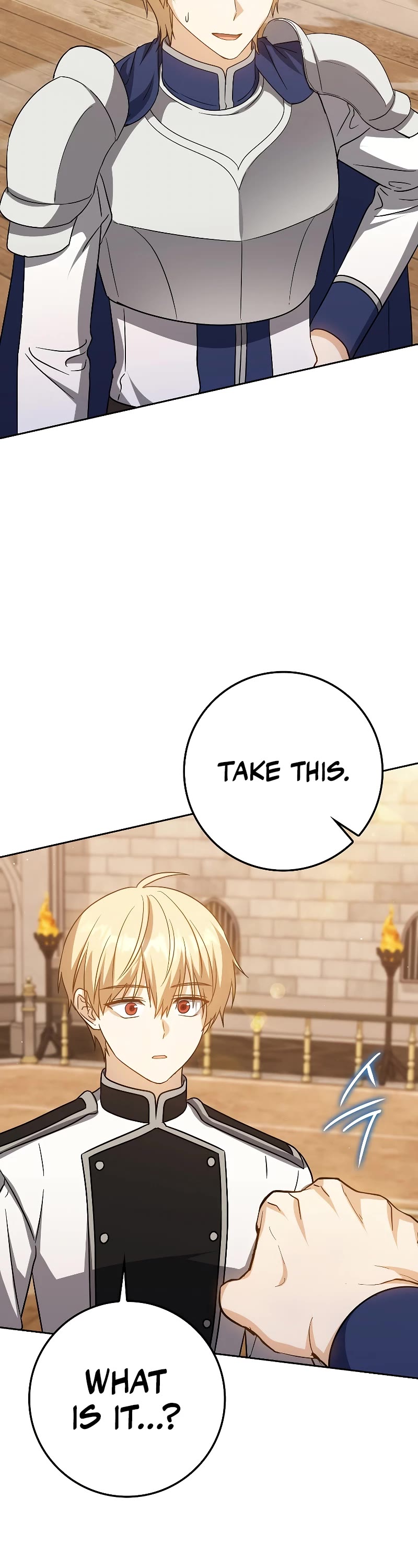 The Reincarnated Assassin is a Genius Swordsman chapter 29 page 31