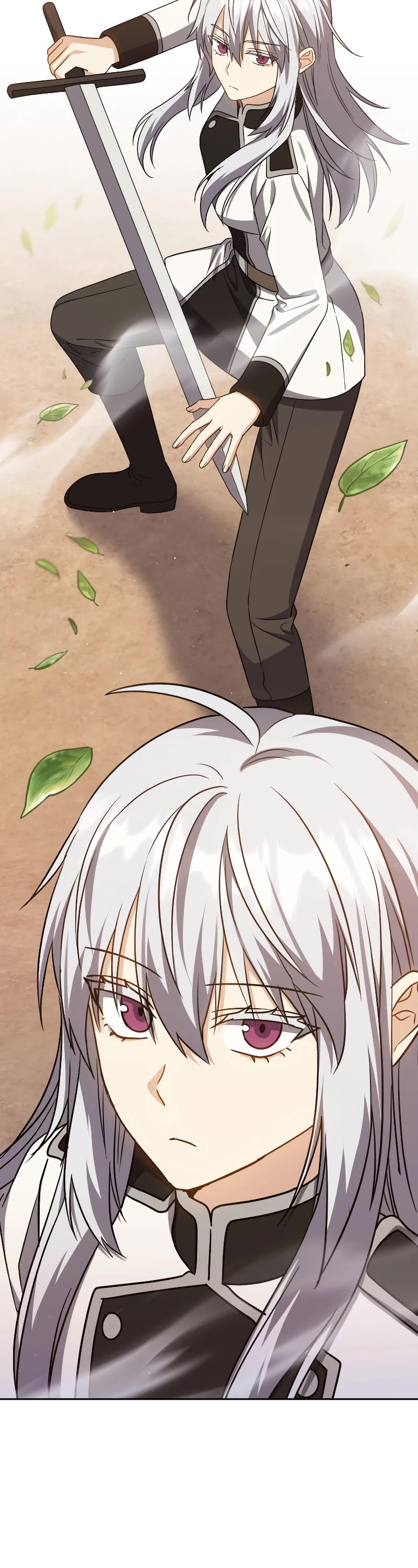 The Reincarnated Assassin is a Genius Swordsman chapter 30 page 13