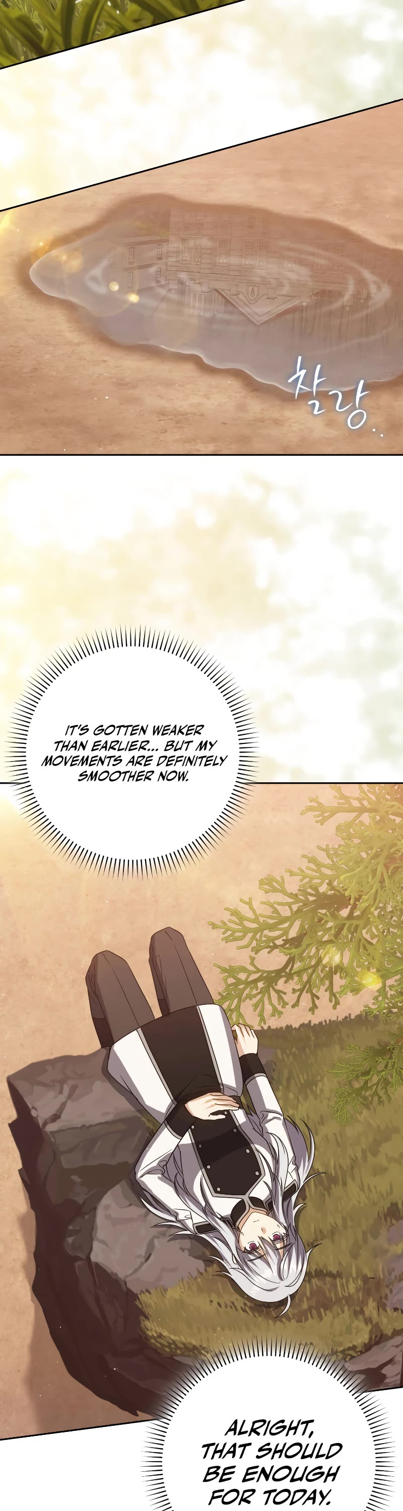 The Reincarnated Assassin is a Genius Swordsman chapter 30 page 19