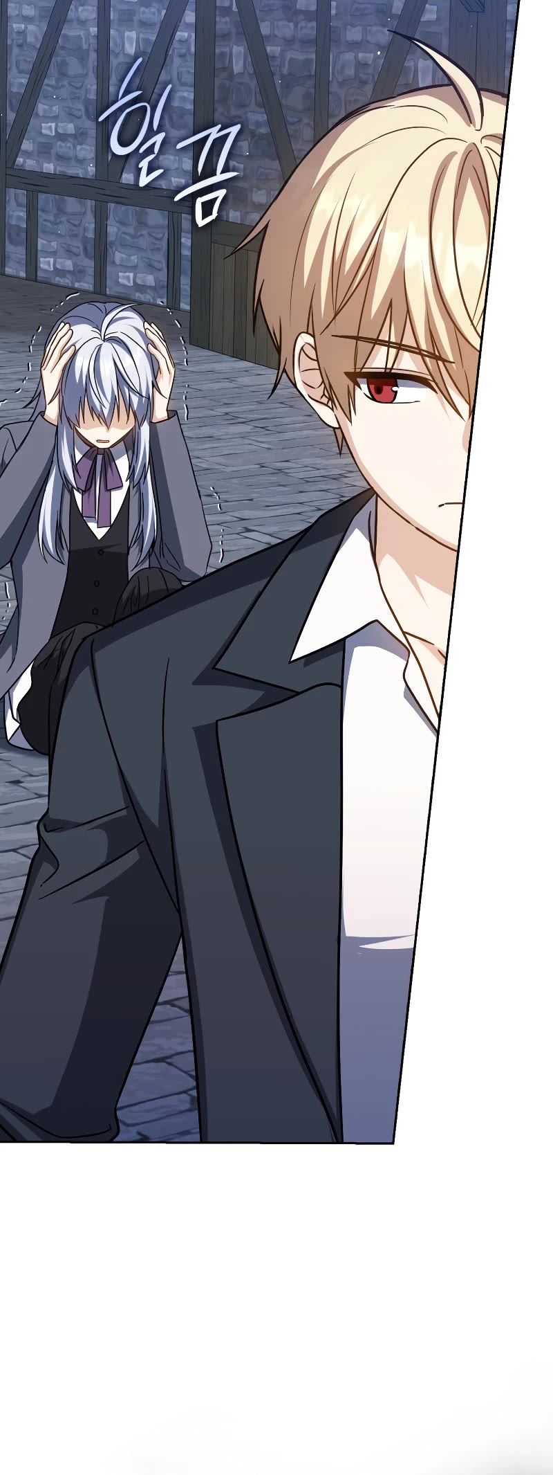 The Reincarnated Assassin is a Genius Swordsman chapter 31 page 6