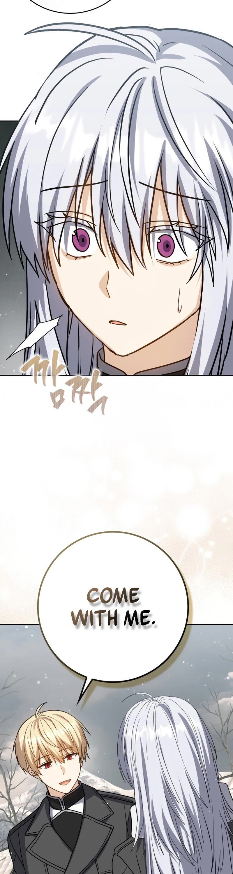 The Reincarnated Assassin is a Genius Swordsman chapter 32 page 11