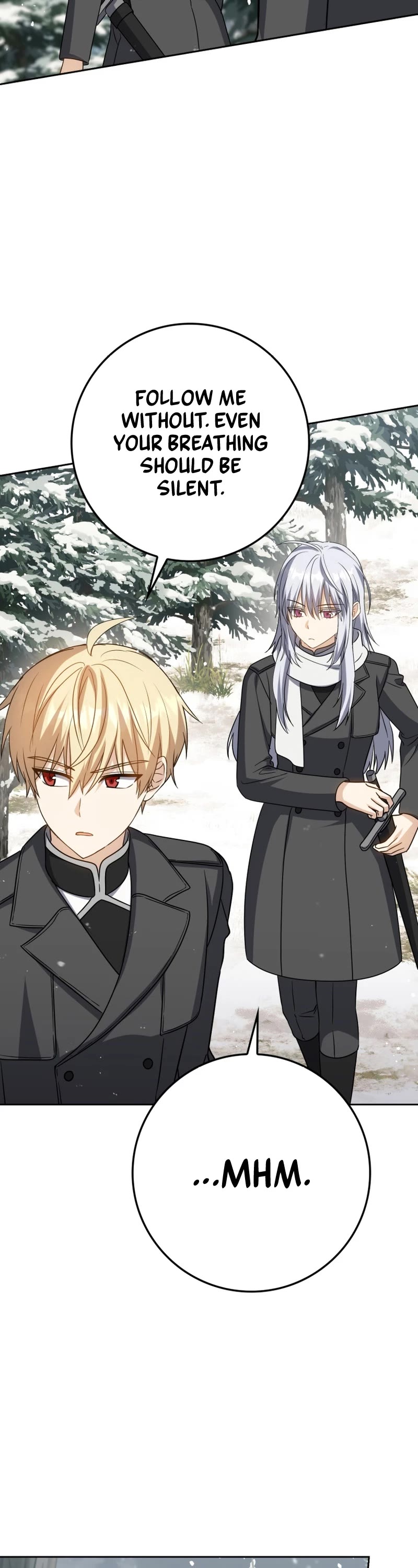 The Reincarnated Assassin is a Genius Swordsman chapter 32 page 27