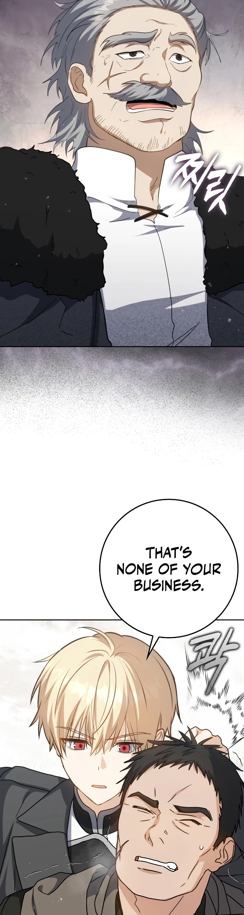 The Reincarnated Assassin is a Genius Swordsman chapter 33 page 21