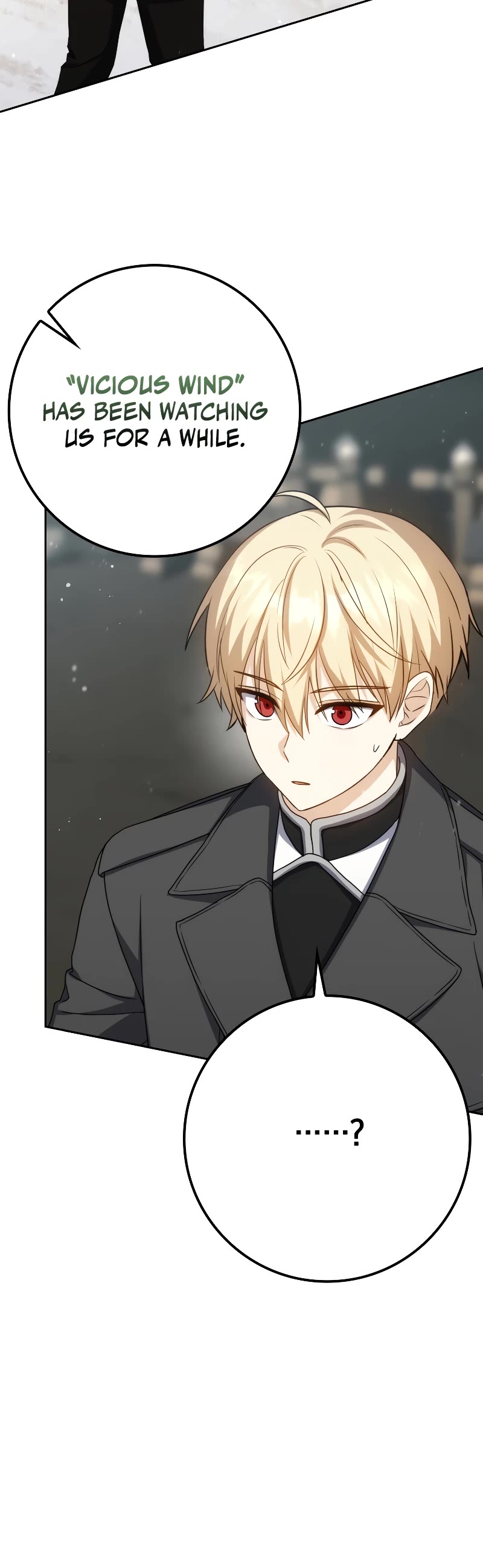 The Reincarnated Assassin is a Genius Swordsman chapter 35 page 13