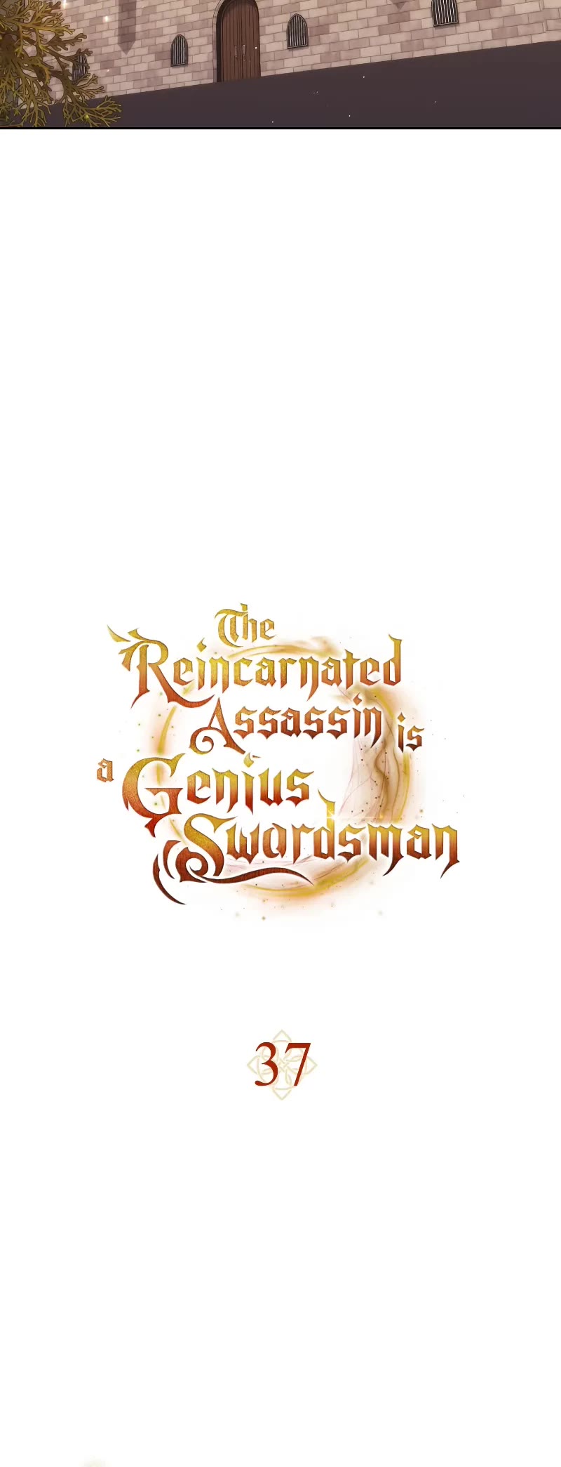The Reincarnated Assassin is a Genius Swordsman chapter 37 page 13