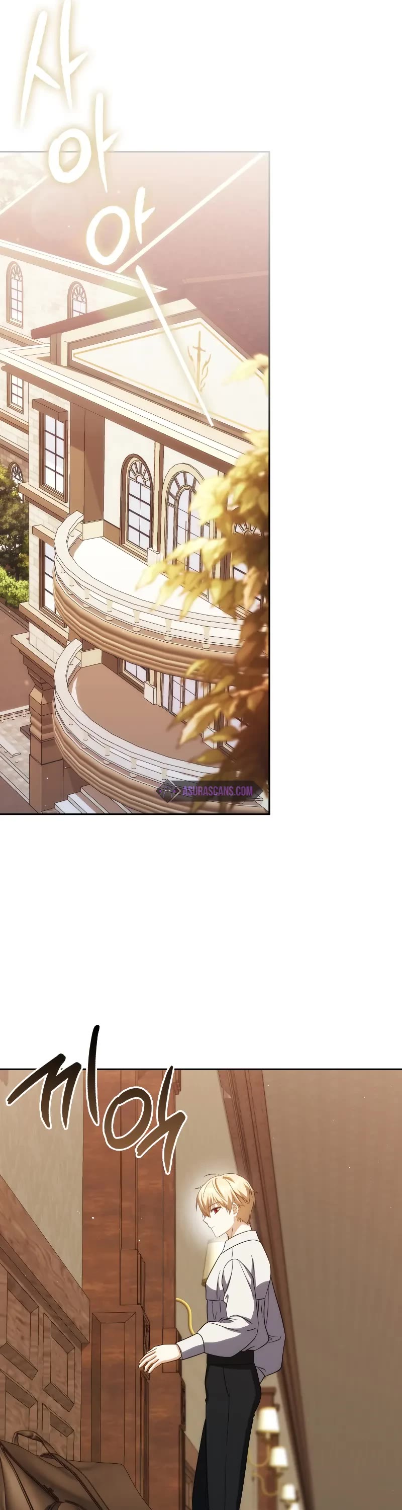 The Reincarnated Assassin is a Genius Swordsman chapter 37 page 14