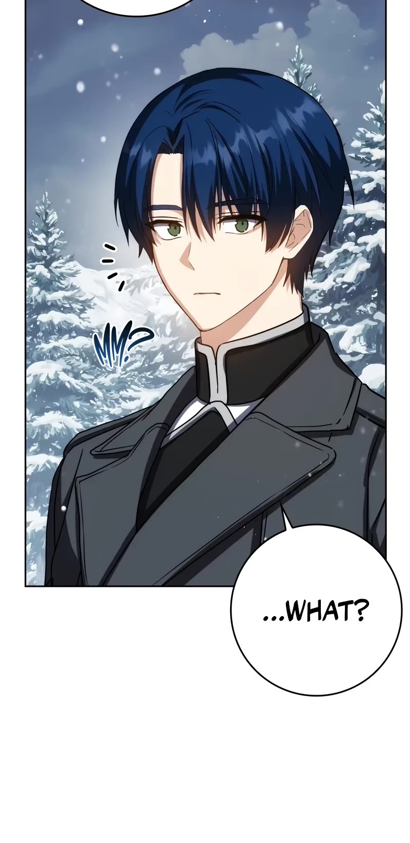 The Reincarnated Assassin is a Genius Swordsman chapter 40 page 29