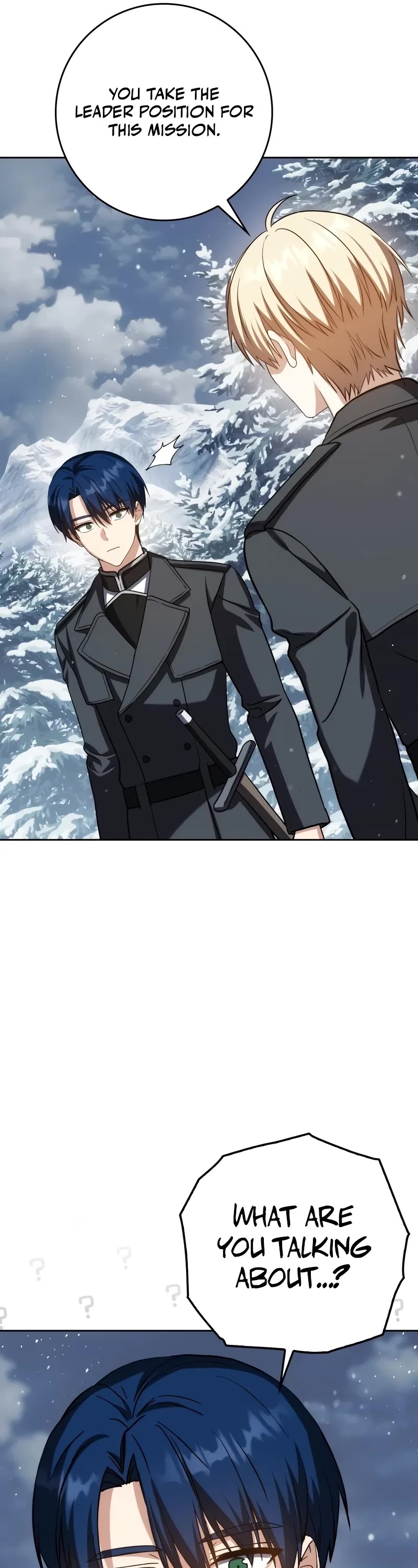 The Reincarnated Assassin is a Genius Swordsman chapter 40 page 30