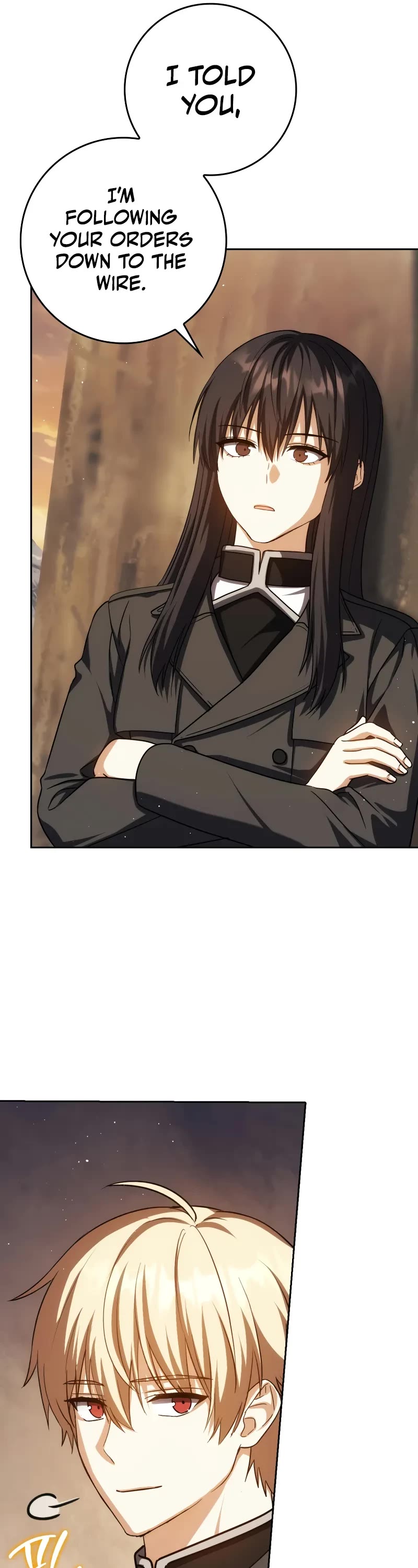 The Reincarnated Assassin is a Genius Swordsman chapter 43 page 12