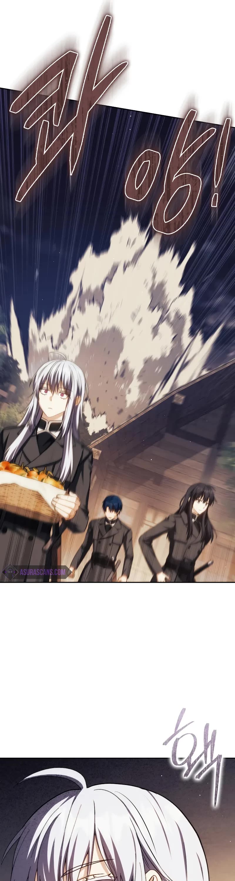 The Reincarnated Assassin is a Genius Swordsman chapter 46 page 47