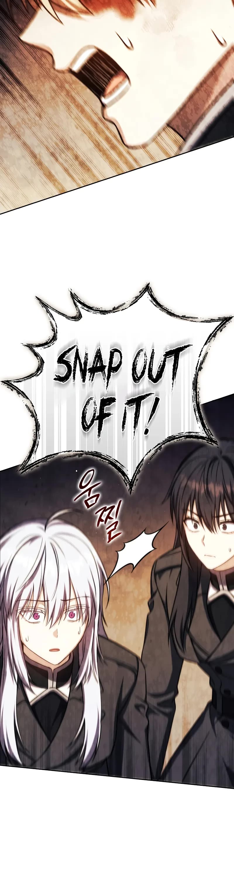 The Reincarnated Assassin is a Genius Swordsman chapter 47 page 11