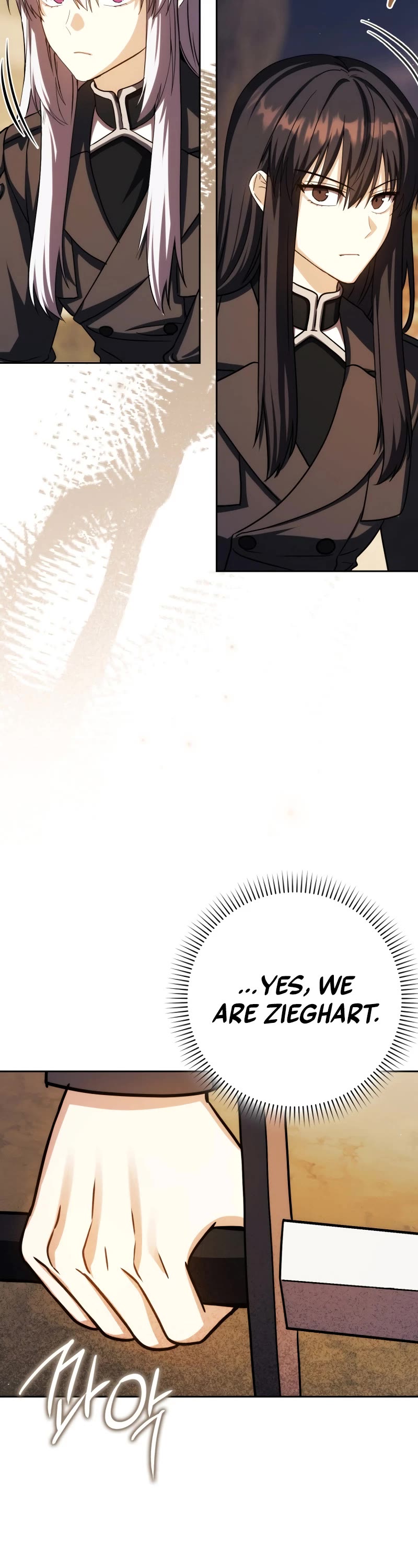 The Reincarnated Assassin is a Genius Swordsman chapter 48 page 11