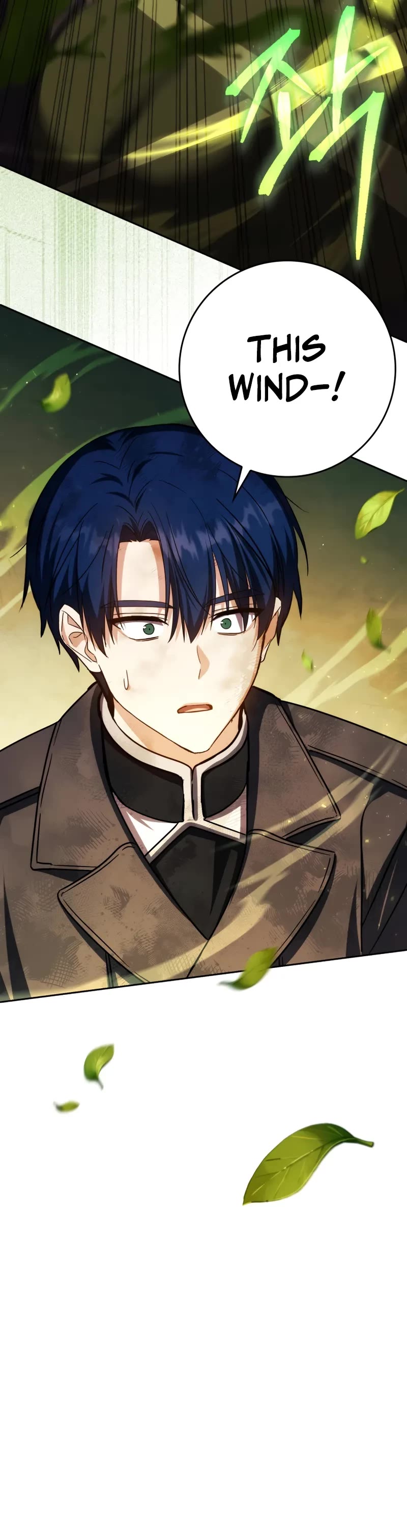 The Reincarnated Assassin is a Genius Swordsman chapter 49 page 22