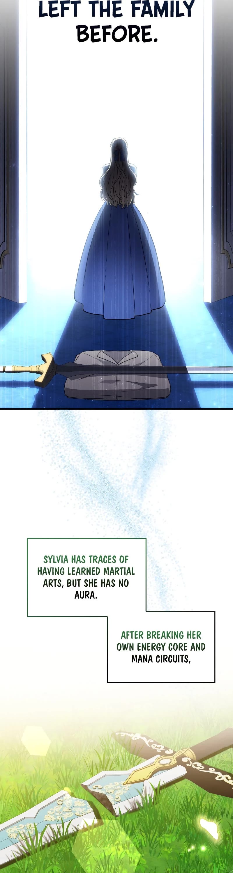 The Reincarnated Assassin is a Genius Swordsman chapter 5 page 17