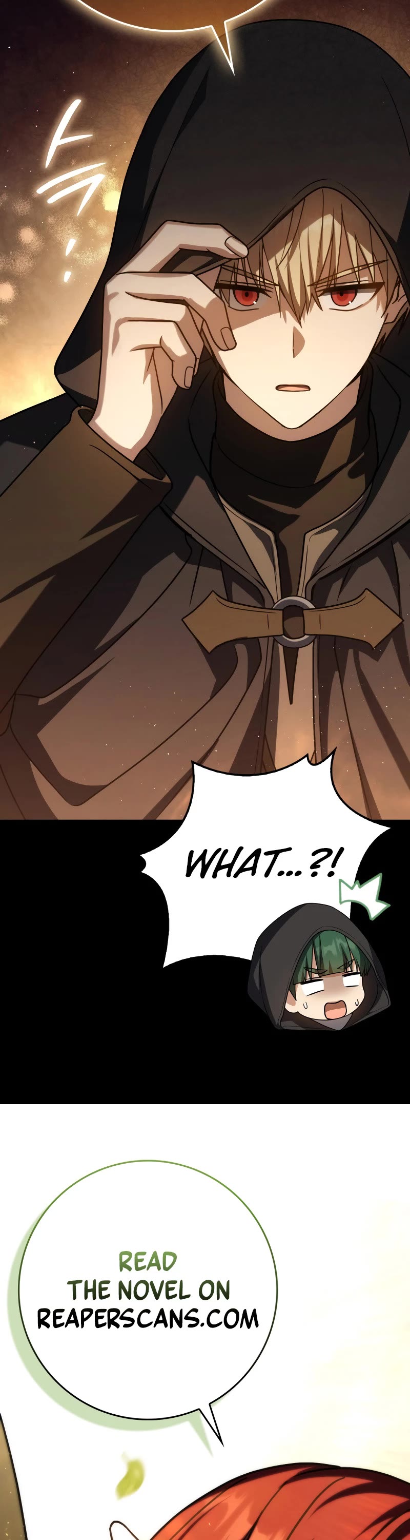 The Reincarnated Assassin is a Genius Swordsman chapter 58 page 65