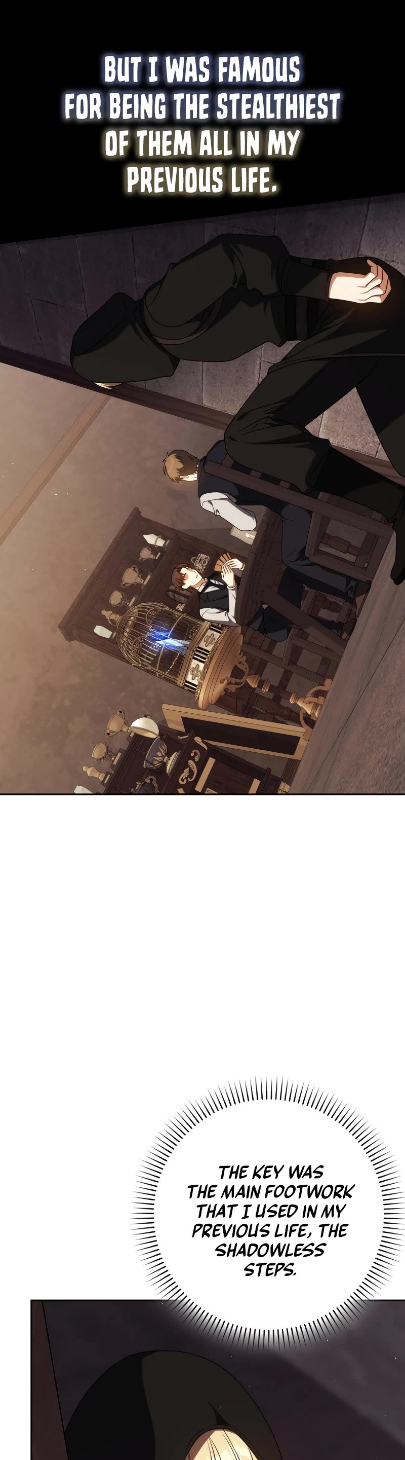 The Reincarnated Assassin is a Genius Swordsman chapter 59 page 3