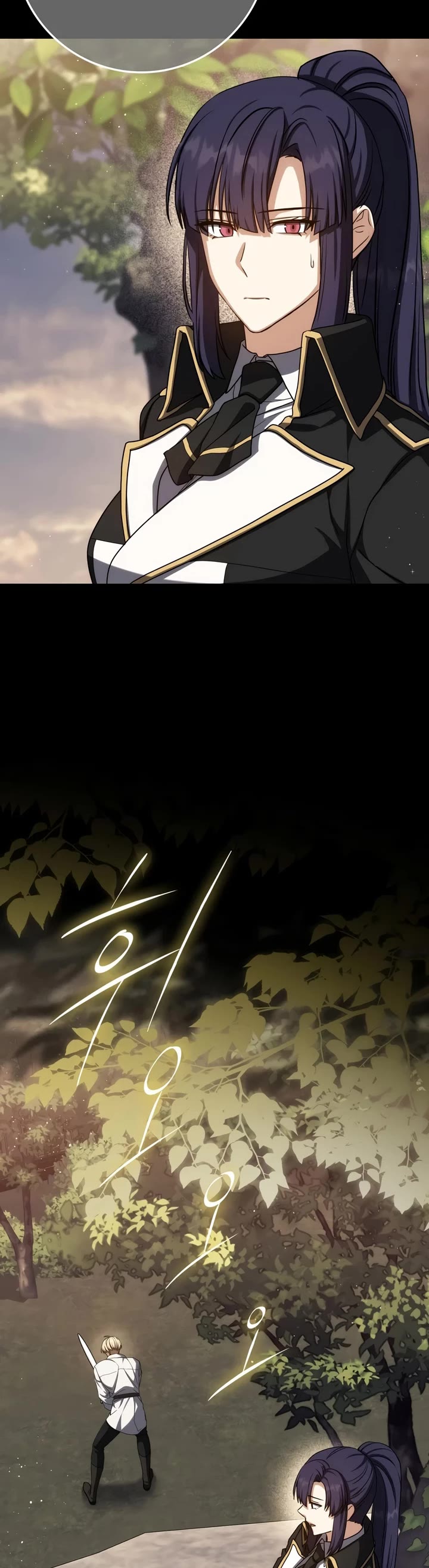 The Reincarnated Assassin is a Genius Swordsman chapter 90 page 11