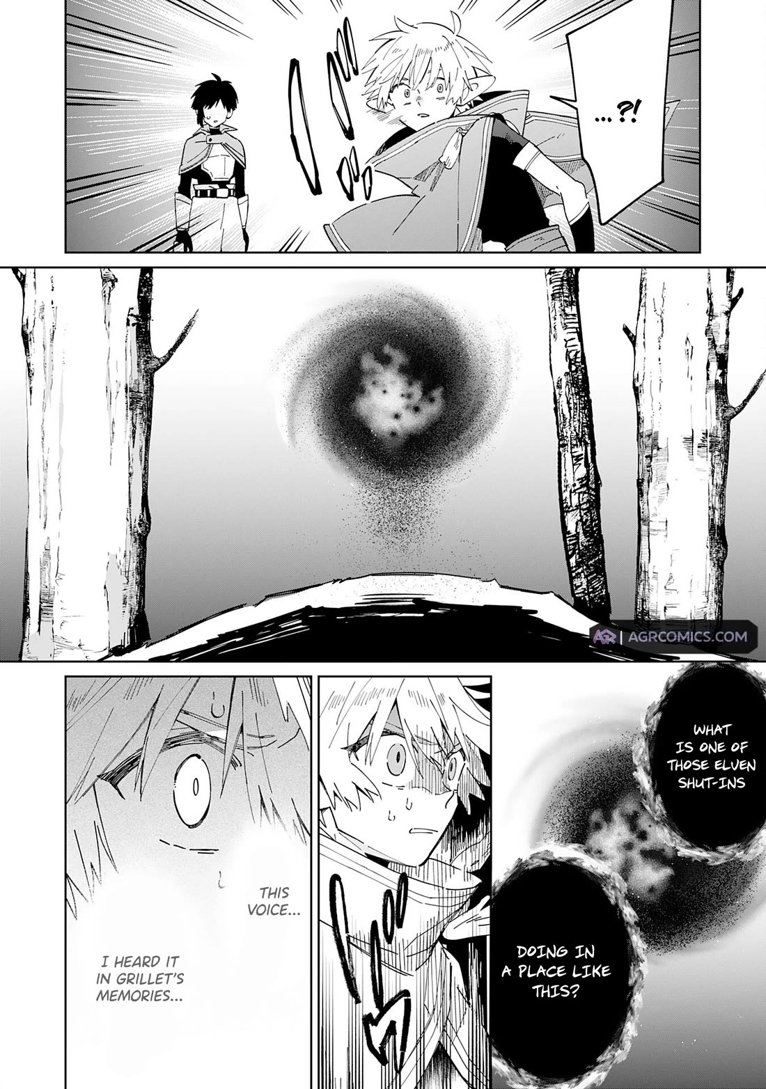 The Reincarnated Elf Left on a Journey to Master His Magic and With His Extra Lifespan Became a Living Legend chapter 10 page 13